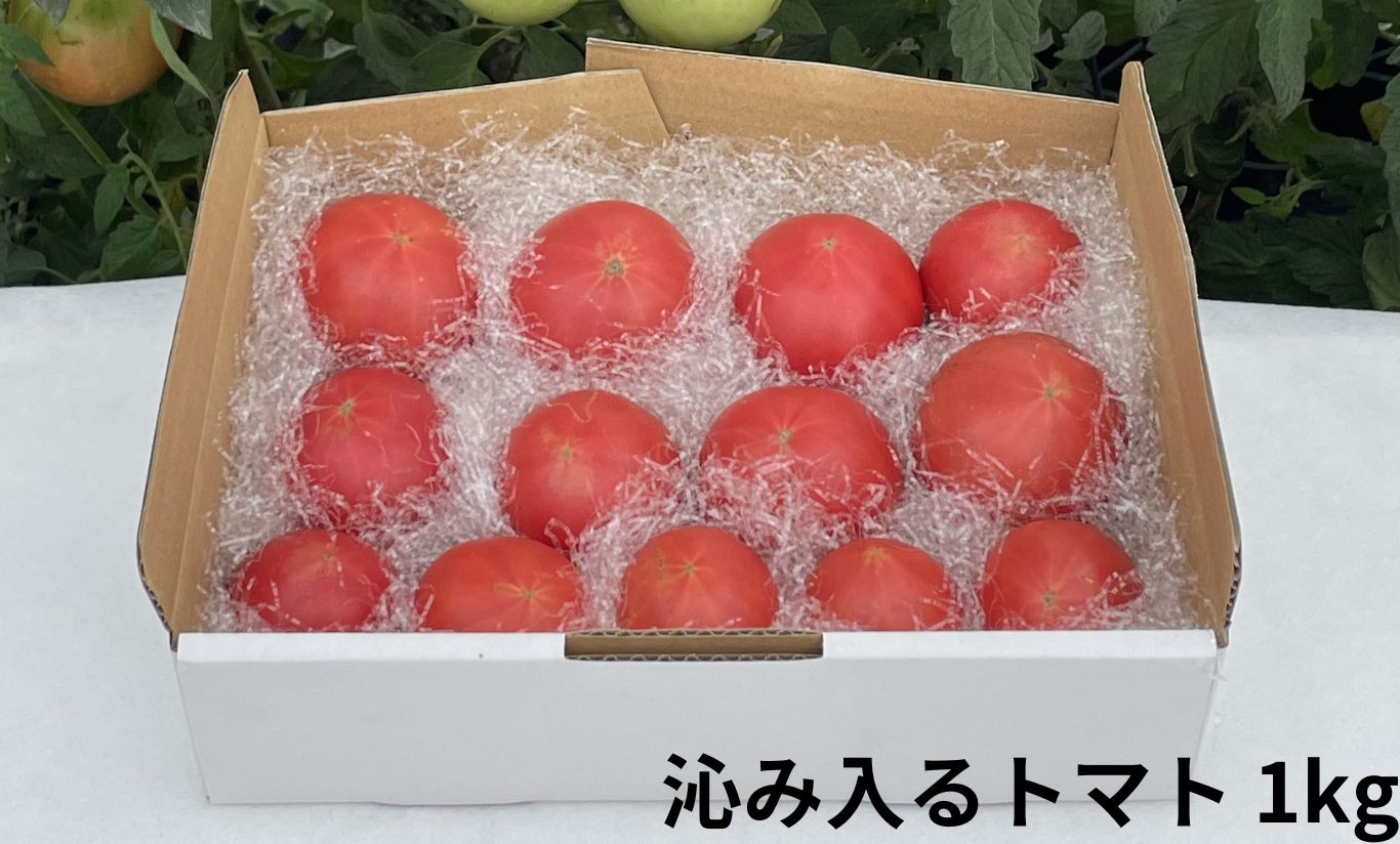 2026年ロッキンベジタブル 沁み入るトマト(1Kg)