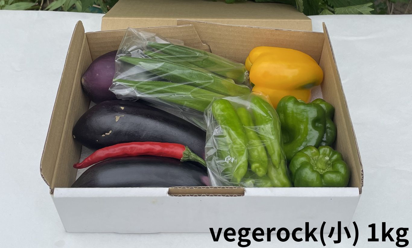 vegerock(小)