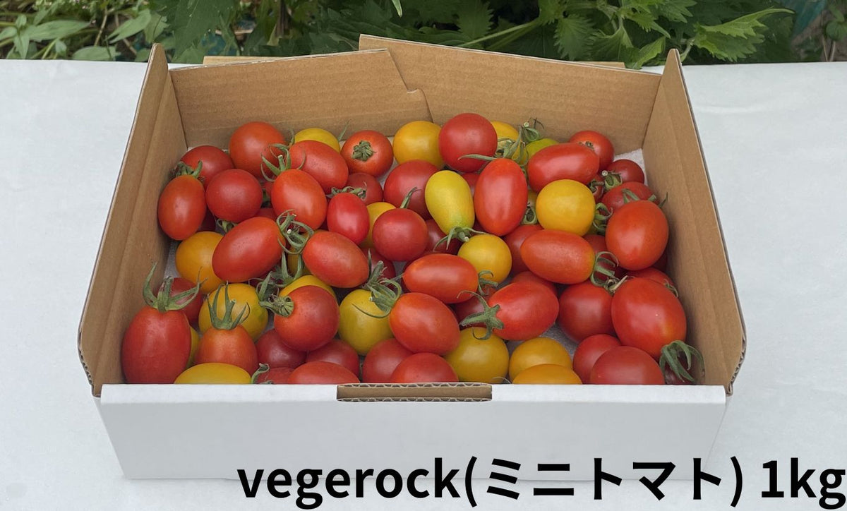 vegerock(ロッキンベジタブル・ミックス)A面